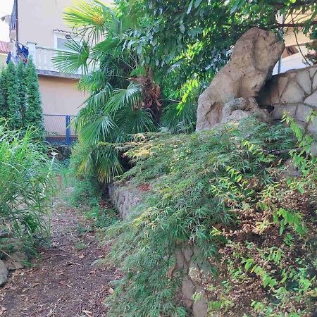 Green House Cavle Luaran gambar