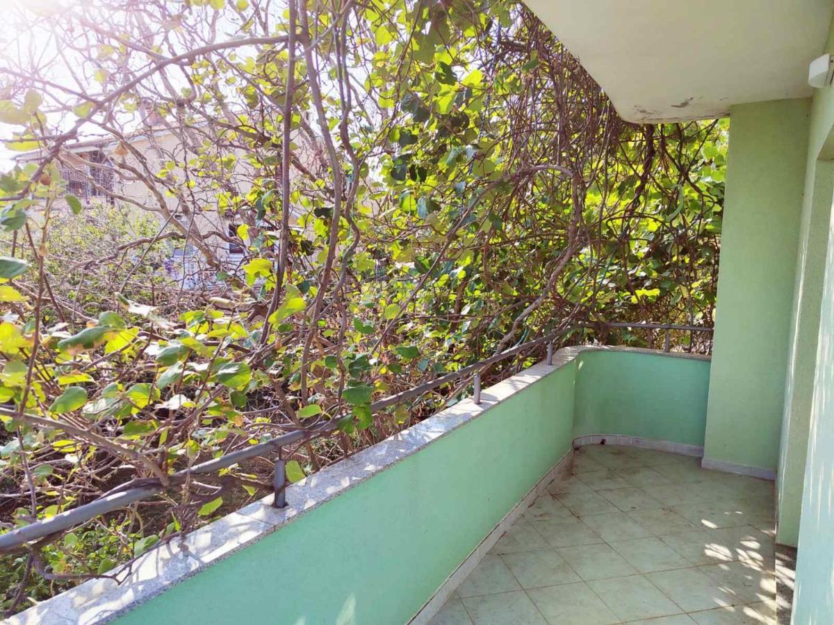 Green House Cavle Luaran gambar
